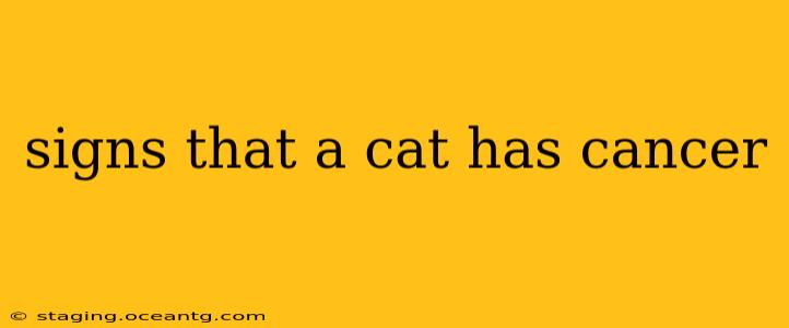 signs that a cat has cancer