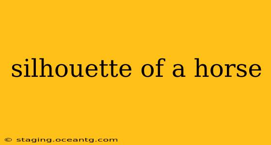 silhouette of a horse