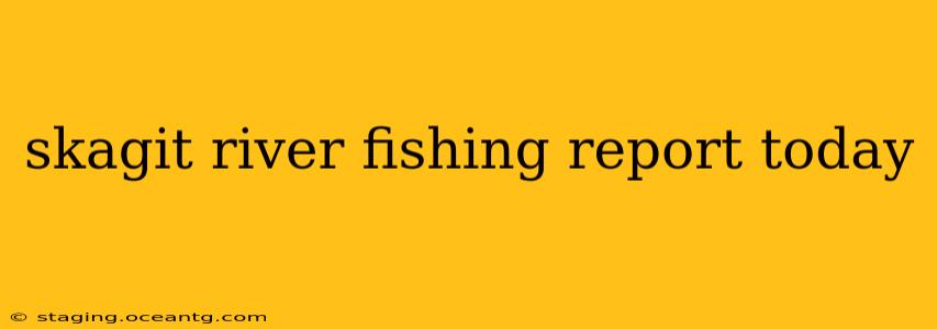skagit river fishing report today