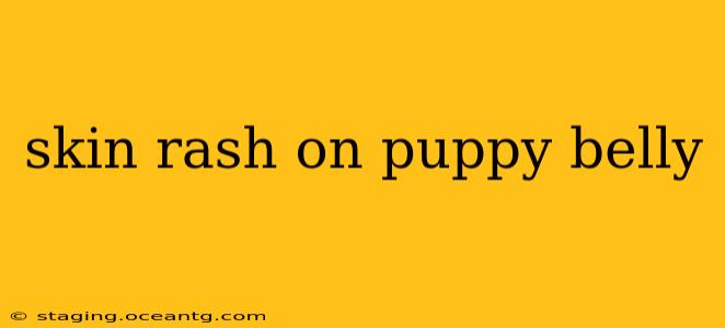 skin rash on puppy belly