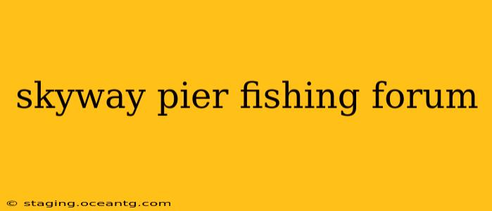skyway pier fishing forum