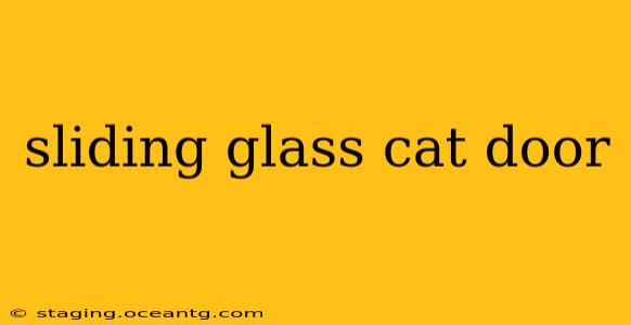 sliding glass cat door