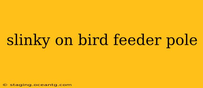 slinky on bird feeder pole