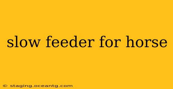 slow feeder for horse