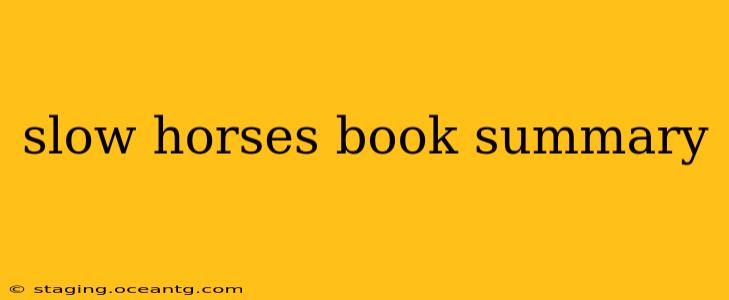 slow horses book summary