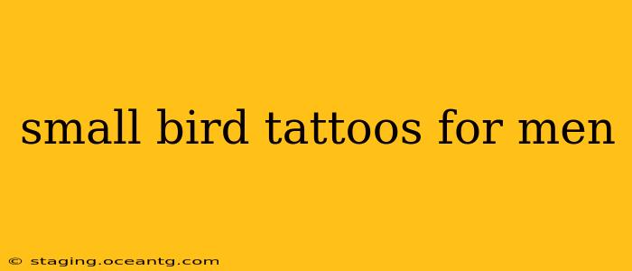small bird tattoos for men