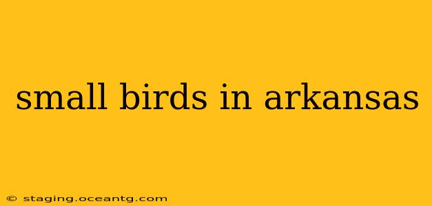 small birds in arkansas