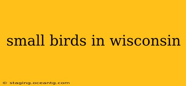 small birds in wisconsin