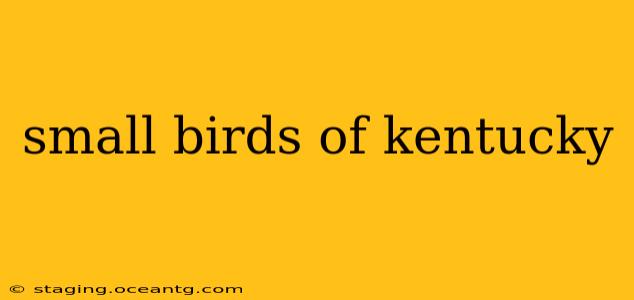 small birds of kentucky