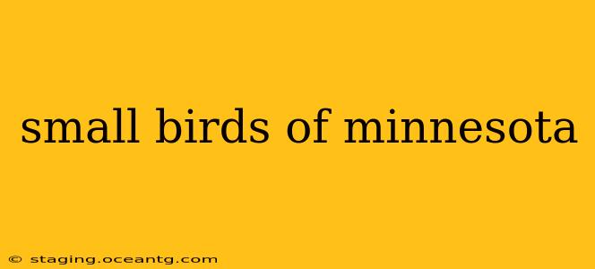 small birds of minnesota