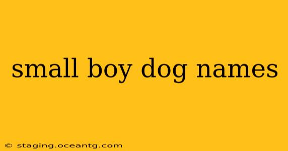 small boy dog names