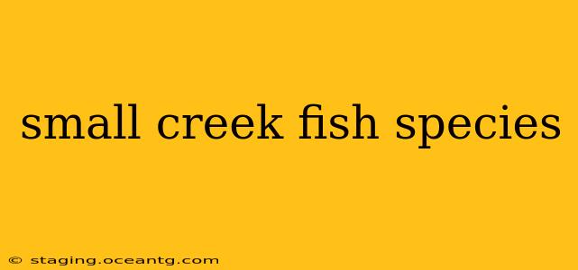 small creek fish species