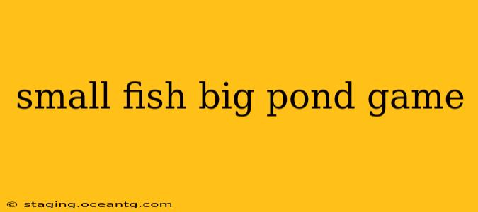 small fish big pond game