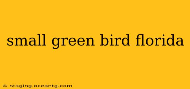 small green bird florida