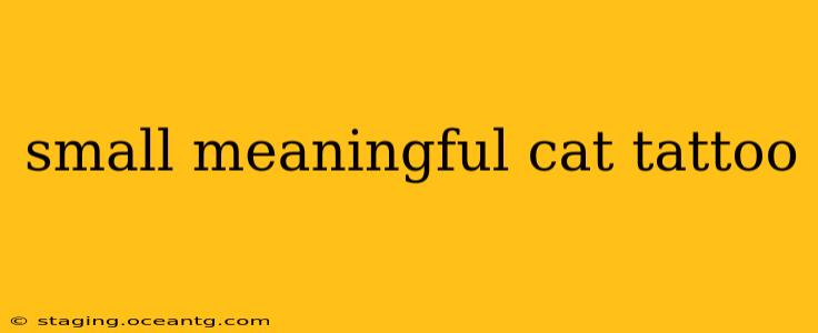 small meaningful cat tattoo