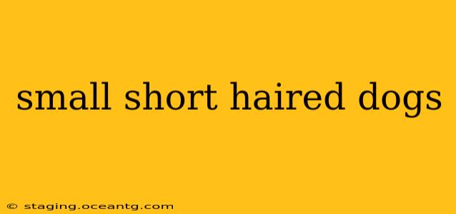 small short haired dogs