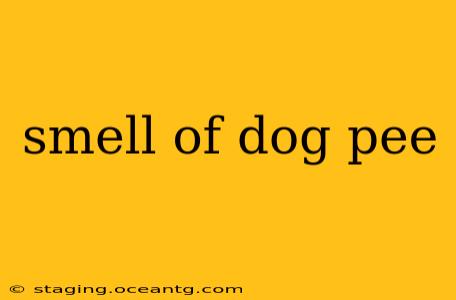 smell of dog pee