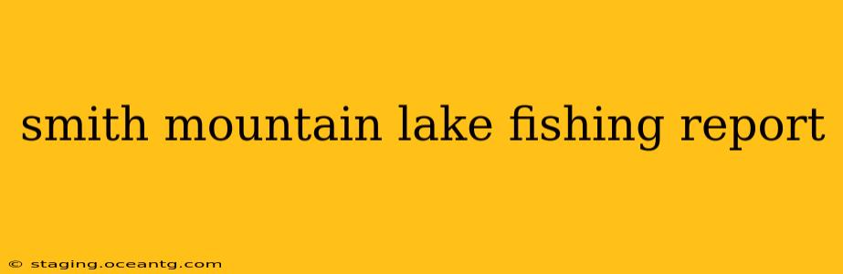 smith mountain lake fishing report
