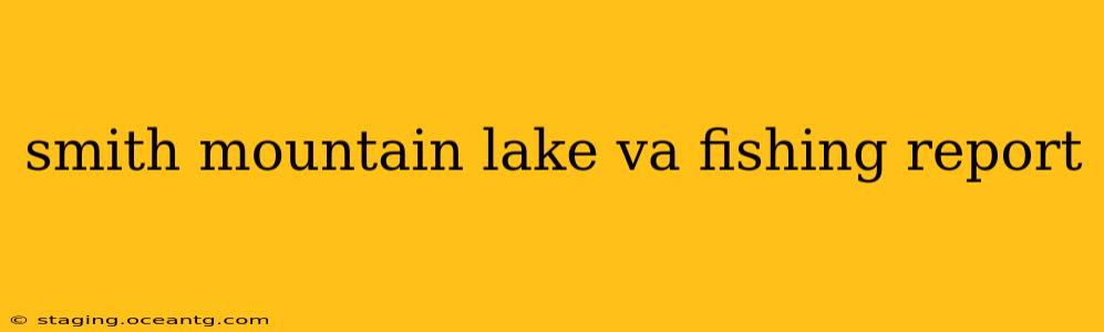 smith mountain lake va fishing report