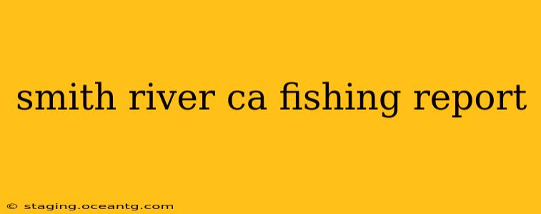 smith river ca fishing report