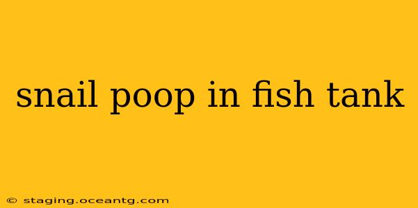 snail poop in fish tank