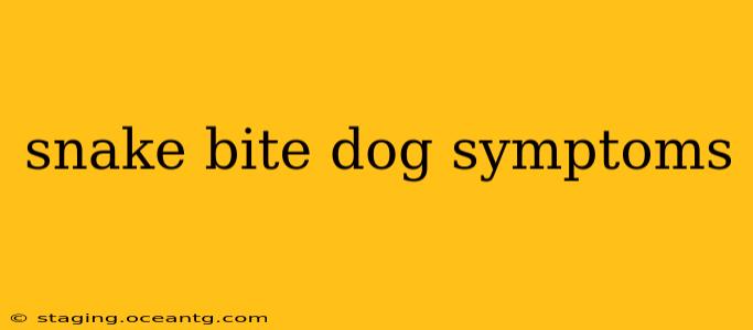snake bite dog symptoms