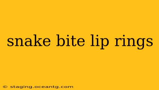 snake bite lip rings