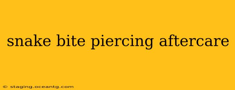 snake bite piercing aftercare