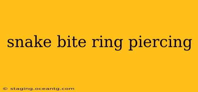 snake bite ring piercing