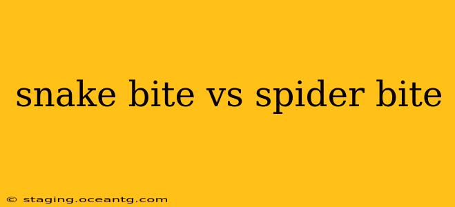 snake bite vs spider bite