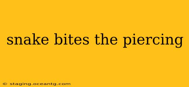 snake bites the piercing