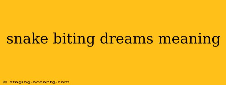 snake biting dreams meaning