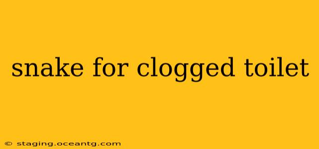 snake for clogged toilet