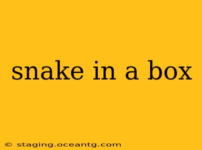 snake in a box