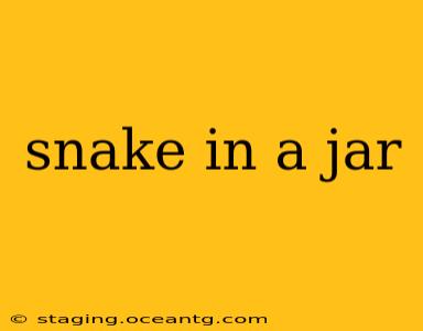 snake in a jar