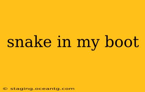 snake in my boot