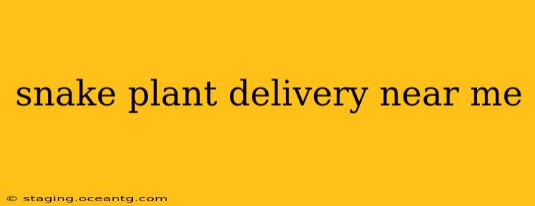 snake plant delivery near me