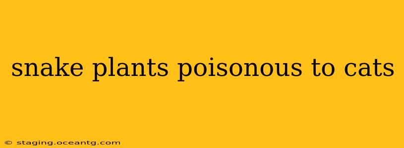 snake plants poisonous to cats