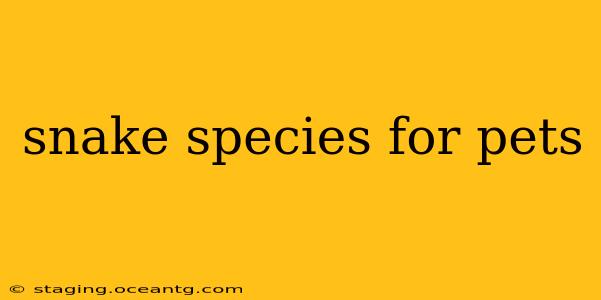 snake species for pets