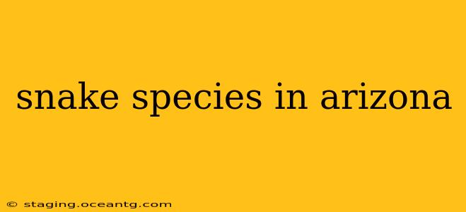 snake species in arizona