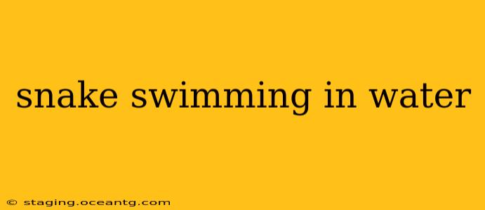 snake swimming in water