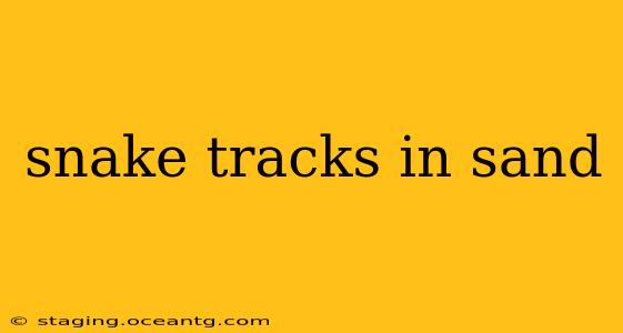 snake tracks in sand
