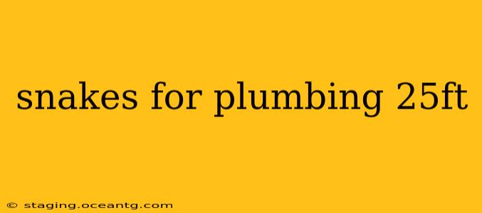 snakes for plumbing 25ft