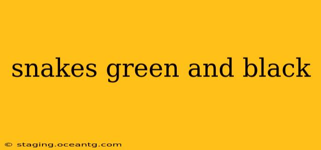 snakes green and black