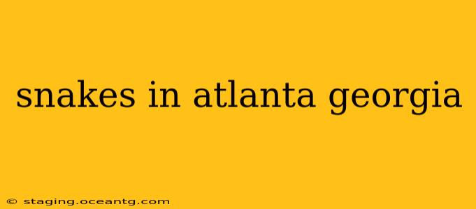 snakes in atlanta georgia