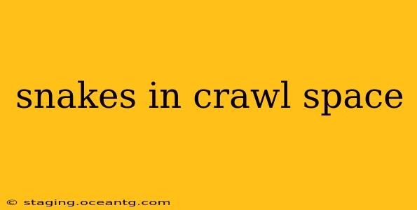 snakes in crawl space