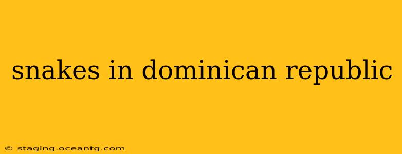 snakes in dominican republic