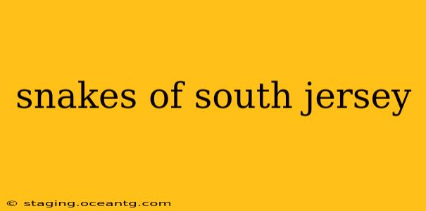 snakes of south jersey