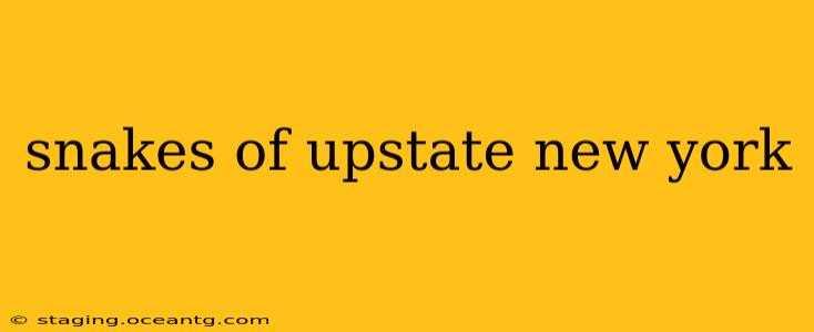 snakes of upstate new york