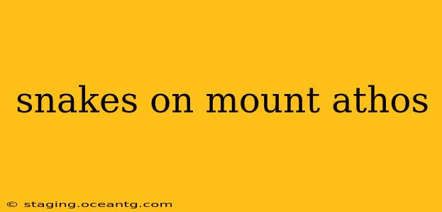snakes on mount athos